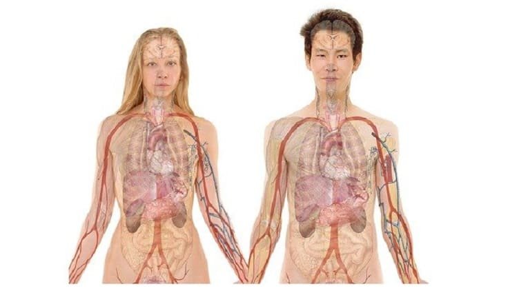 बायोलॉजी में कौन कौन से सब्जेक्ट होते हैं, biology-me-koun-koun-se-subject-hote-hai