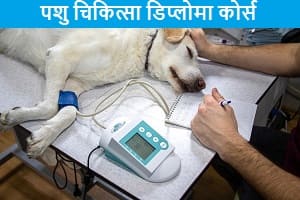10th-aur-12th-ke-bad-pashu-chikitsa-diploma-course