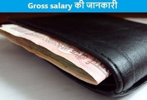 Net-aur-Gross-salary-meaning-in-hindi
