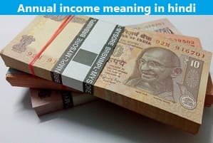 annual-income-meaning-in-hindi