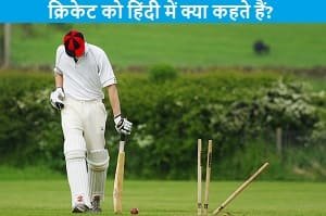 cricket-ko-hindi-kya-kahte-hai.