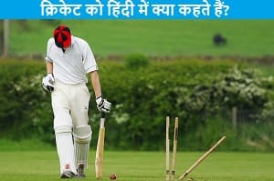 cricket-ko-hindi-kya-kahte-hai.