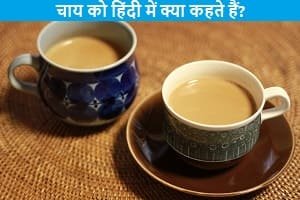 tea-meaning-in-hindi
