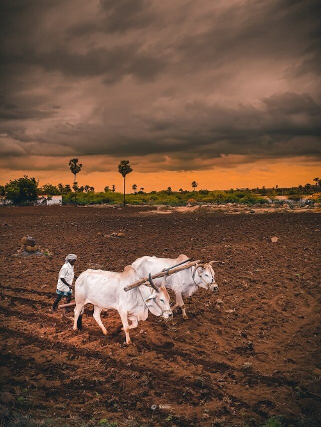 किसान का सबसे बड़ा मददरगार जिव कौन होता है अभी यहाँ जानिए