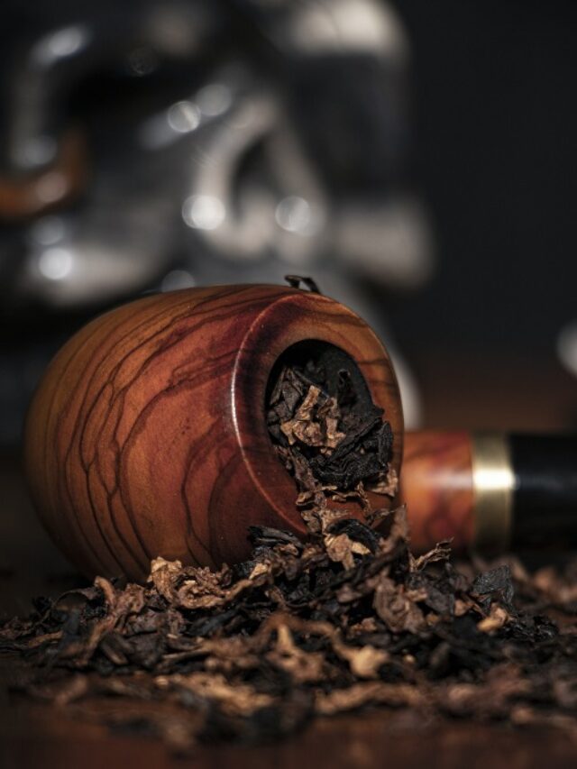 क्या आपको पता है कि दुनिया में तंबाकू दिवस कब मनाया जाता है जान लीजिये,