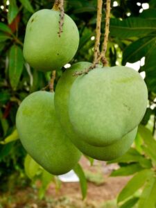 photo-1680008702821-e1b598db30f